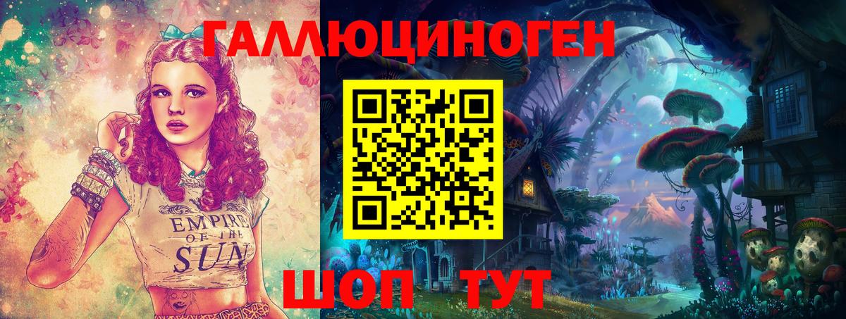 Псилоцибиновые грибы GOLDEN TEACHER Кохма